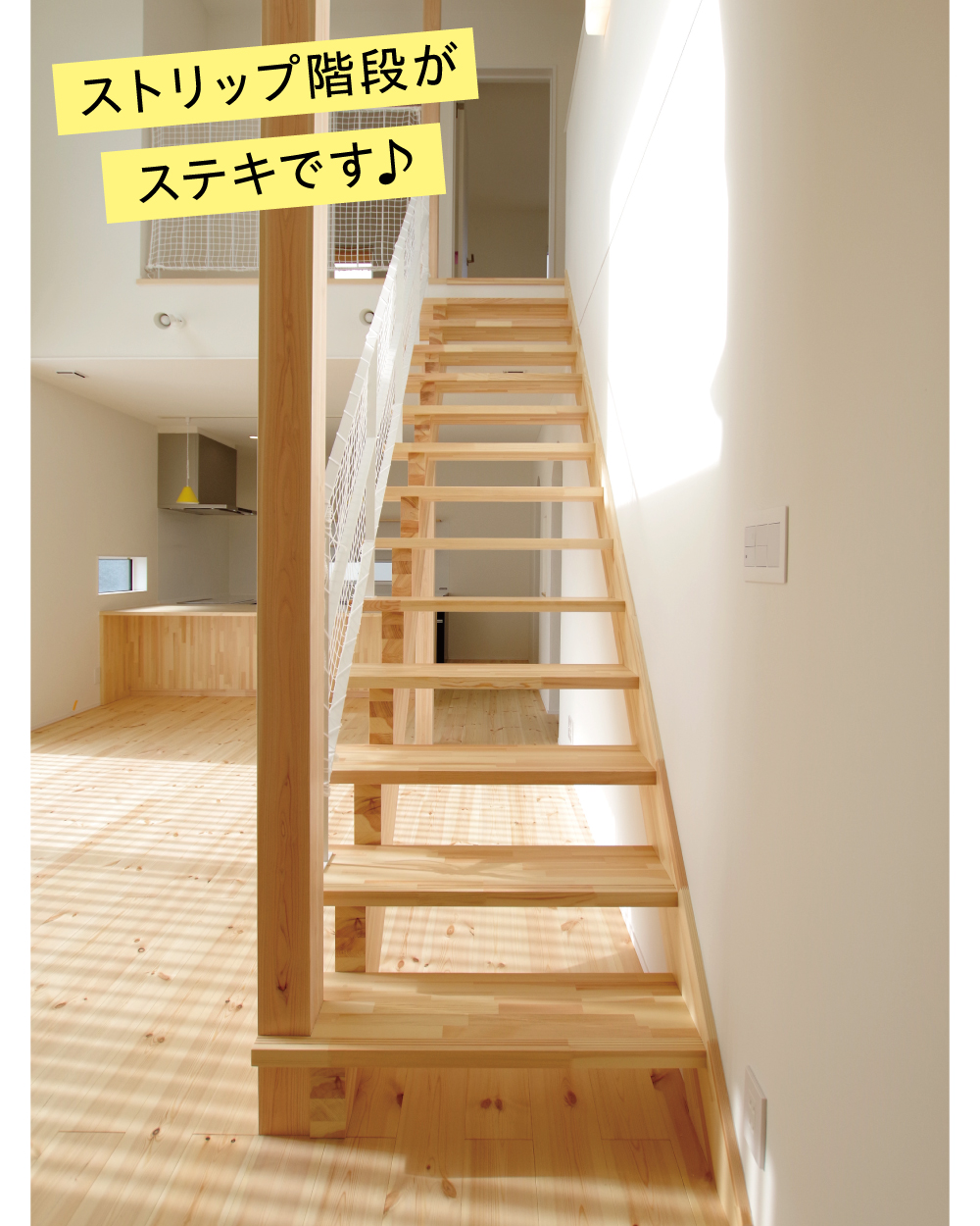 konji005