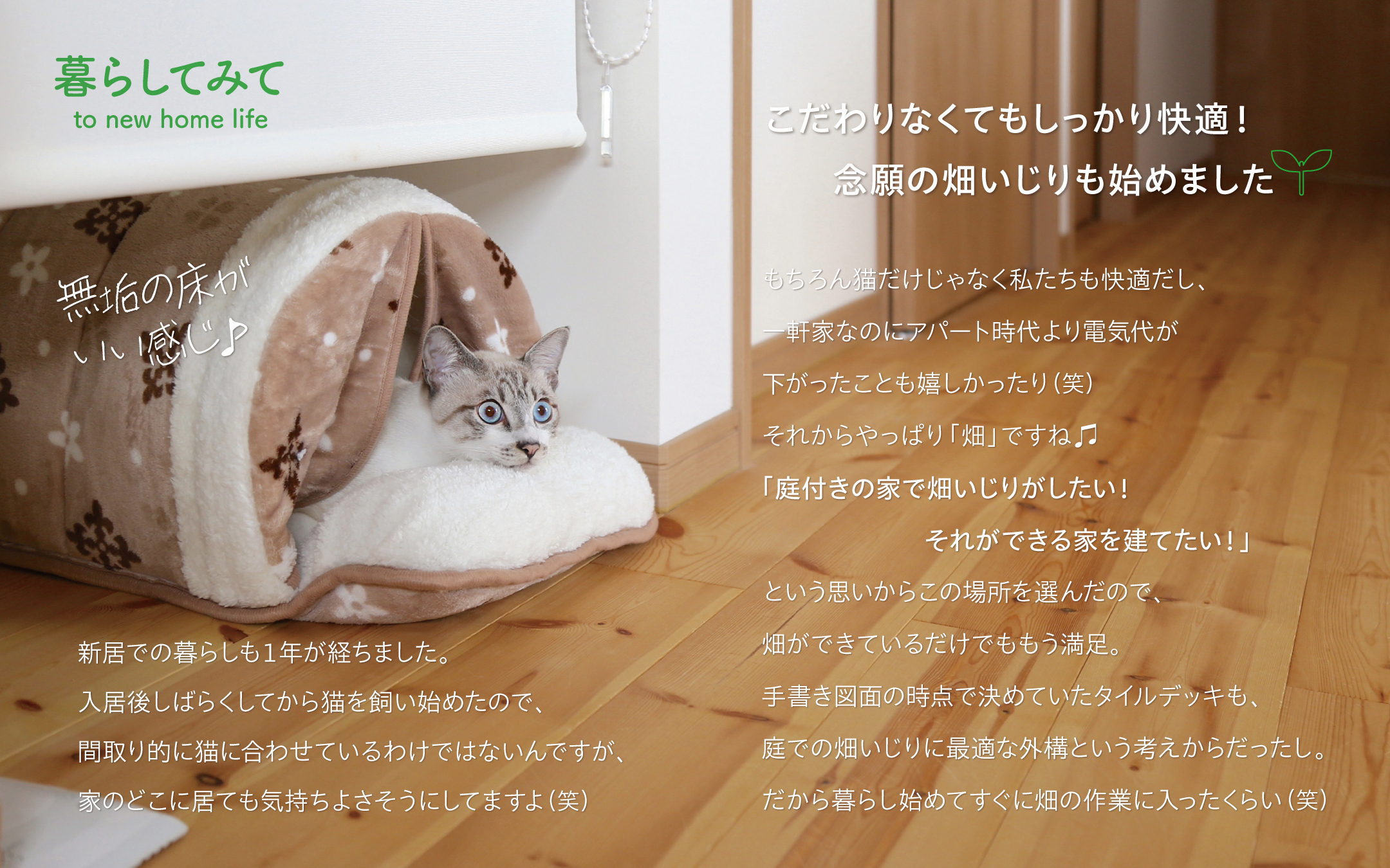 庭付きの家03