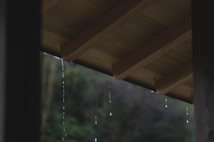 屋ね